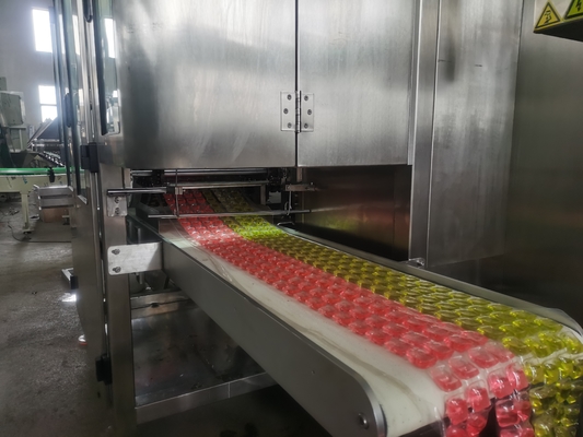 PLC Dikendalikan Mesin Membuat Laundry Pod Listrik untuk Produksi Disesuaikan